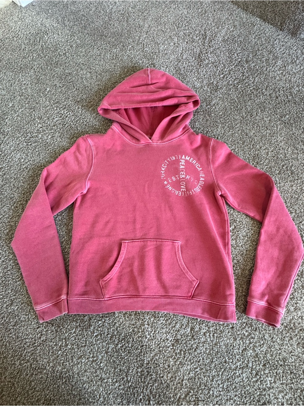 American Eagle Outfitters Pink Hooded Pullover Sweatshirt
